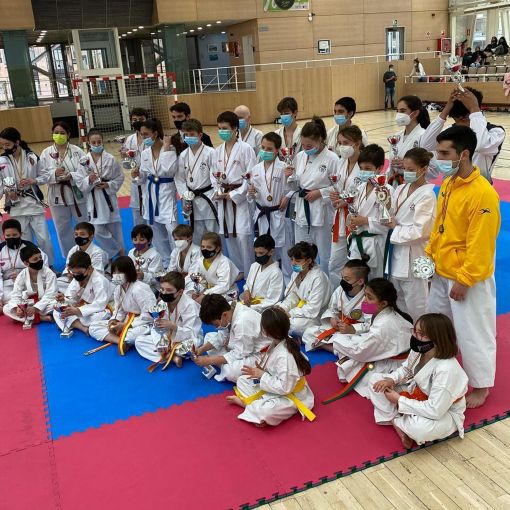 Arriba la 18a edició del Trofeu McDonalds de Karate