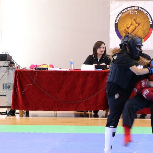El Campionat Nacional de Kung-Fu Canòlich 2022 aplega 62 competidors